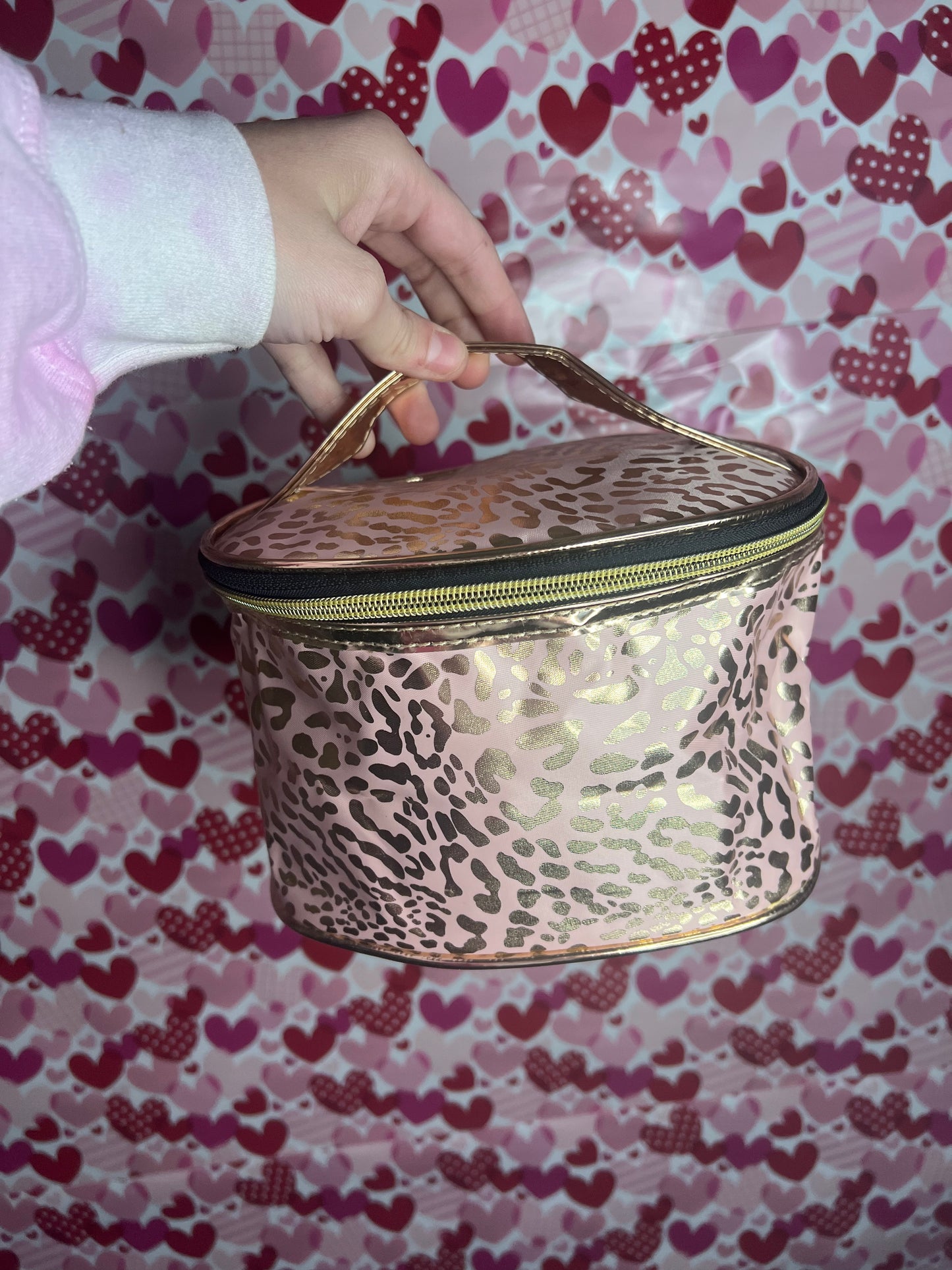 Leopard Makeup Bags Asst